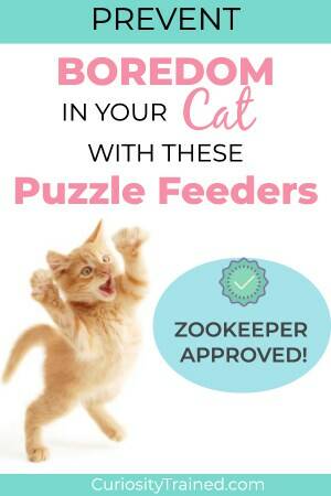 https://www.curiositytrained.com/wp-content/uploads/2019/10/Zookeeper-Approved-cat-toys-300x450.jpg