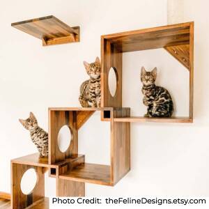 17 Best Cat Shelves And Wall Perches, How To Build Cat Shelves