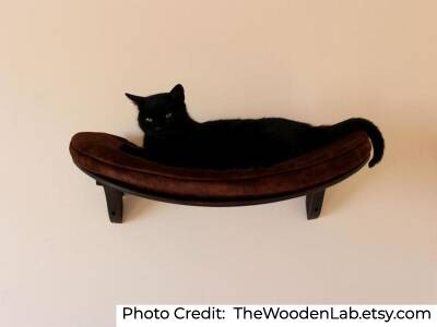 17 Best Cat Shelves And Wall Perches That Are Purrfect - Curved Wall Shelf For Cats 17 Best Cat Shelves And Wall Perches That Are Purrfect - Curved Wall Shelf For Cats