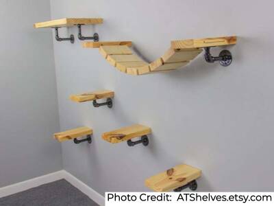 17 Best Cat Shelves And Wall Perches That Are Purrfect - How To Make Wall Shelves For Cats